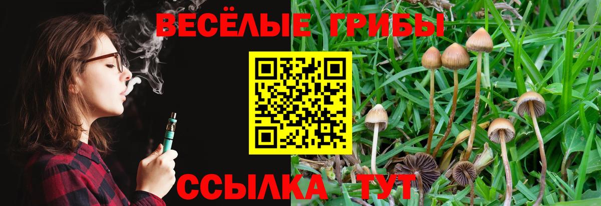 Псилоцибиновые грибы Cubensis  Псилоцибиновые грибы Magic Shrooms  Вход с VPN  Светлоград 